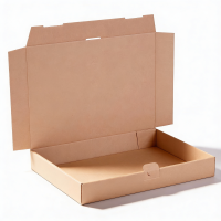 Groß- und Maxibriefkartons