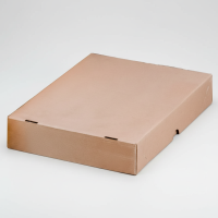 St&uuml;lpdeckelkarton A4, 305 x 215 x 50 mm