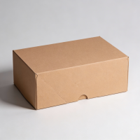 St&uuml;lpdeckelkarton A4, 305 x 215 x 100 mm