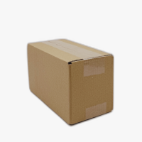 Faltkarton 200 x 100 x 110 mm - einwellig