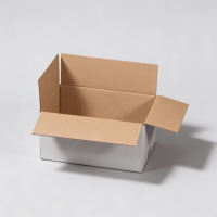 Faltkarton 295 x 195 x 140 mm - einwellig wei&szlig;