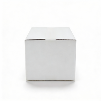 Faltkarton 304 x 217 x 150 mm - zweiwellig weiß