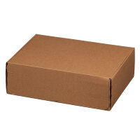 Modulbox 305 x 210 x 91 mm