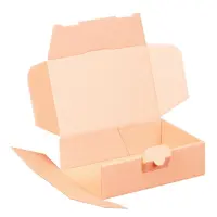 Maxibriefkarton 160 x 110 x 50 mm