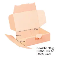 Maxibriefkarton 160 x 110 x 50 mm