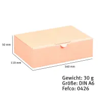 Maxibriefkarton 160 x 110 x 50 mm