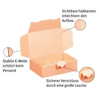 Maxibriefkarton 160 x 110 x 50 mm