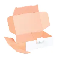 Maxibriefkarton 160 x 110 x 50 mm Wei&szlig;