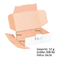 Maxibriefkarton 160 x 110 x 50 mm Weiß