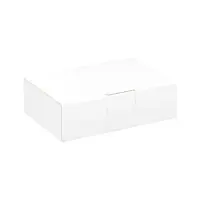 Maxibriefkarton 160 x 110 x 50 mm Weiß