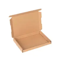 Großbriefkarton 160 x 120 x 20 mm