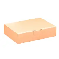 Maxibriefkarton 180 x 130 x 45 mm