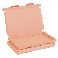 Gro&szlig;briefkarton 230 x 160 x 20 mm