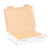 Gro&szlig;briefkarton 230 x 160 x 20 mm Wei&szlig;