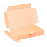 Maxibriefkarton 240 x 160 x 45 mm