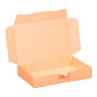 Maxibriefkarton 240 x 160 x 45 mm