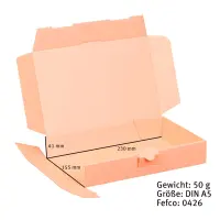 Maxibriefkarton 240 x 160 x 45 mm