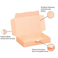 Maxibriefkarton 240 x 160 x 45 mm