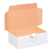 Maxibriefkarton 240 x 160 x 45 mm Wei&szlig;