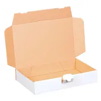 Maxibriefkarton 240 x 160 x 45 mm Weiß
