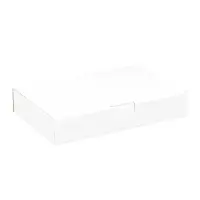 Maxibriefkarton 240 x 160 x 45 mm Weiß
