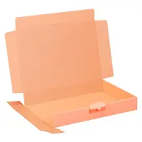 Maxibriefkarton 320 x 230 x 50 mm