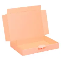 Maxibriefkarton 320 x 230 x 50 mm