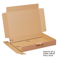 Maxibriefkarton 320 x 230 x 50 mm