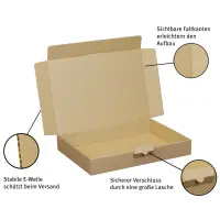 Maxibriefkarton 320 x 230 x 50 mm