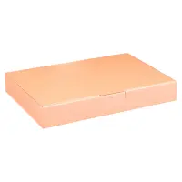 Maxibriefkarton 320 x 230 x 50 mm