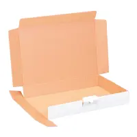 Maxibriefkarton 320 x 230 x 50 mm Weiß