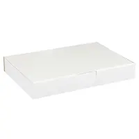 Maxibriefkarton 320 x 230 x 50 mm Weiß