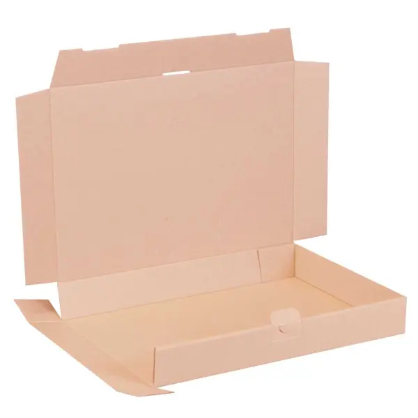 Maxibriefkarton 350 x 250 x 50 mm
