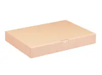 Maxibriefkarton 350 x 250 x 50 mm
