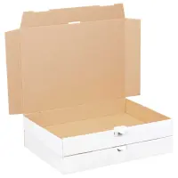 Maxibriefkarton 350 x 250 x 50 mm Wei&szlig;
