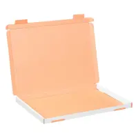 Großbriefkarton 350 x 250 x 20 mm Weiß