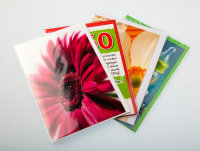 OPP-Klappenbeutel 115 x 220 + 30 mm 30µ (1.000 Stk.)