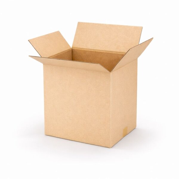 Faltkarton 305x215x310 mm - zweiwellig