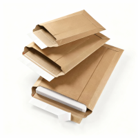 VersandtascheB4, 246 x 357 mm (Wellpappe)